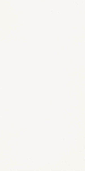 Harmony Bianco 30x60