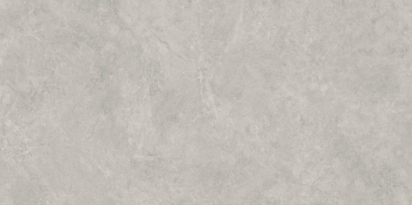 Lightstone Grey Polpoler 59,8x119,8