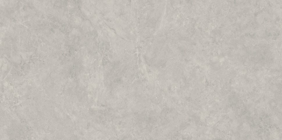 Lightstone Grey Polpoler 59,8x119,8