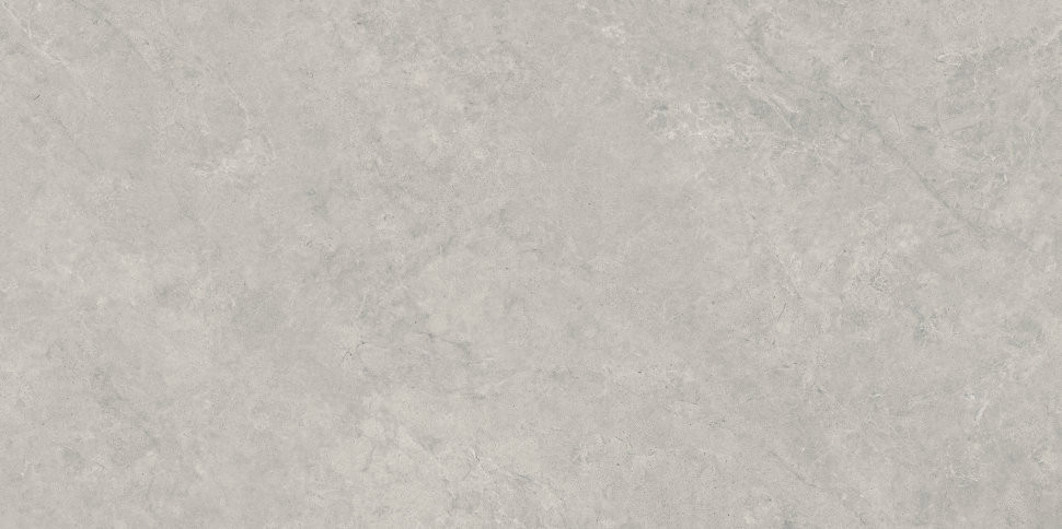 Lightstone Grey Polpoler 59,8x119,8