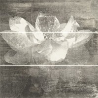 Manteia Grafit PANEL A 3x20x60