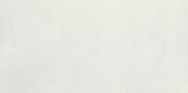 Taiga Silver 29,5x59,5