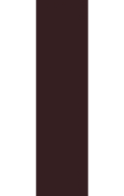 Natural Brown фасадная плитка гладкая 24,5x6,6