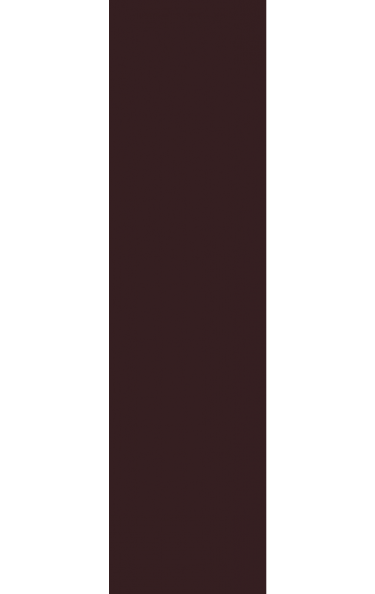 Natural Brown фасадная плитка гладкая 24,5x6,6